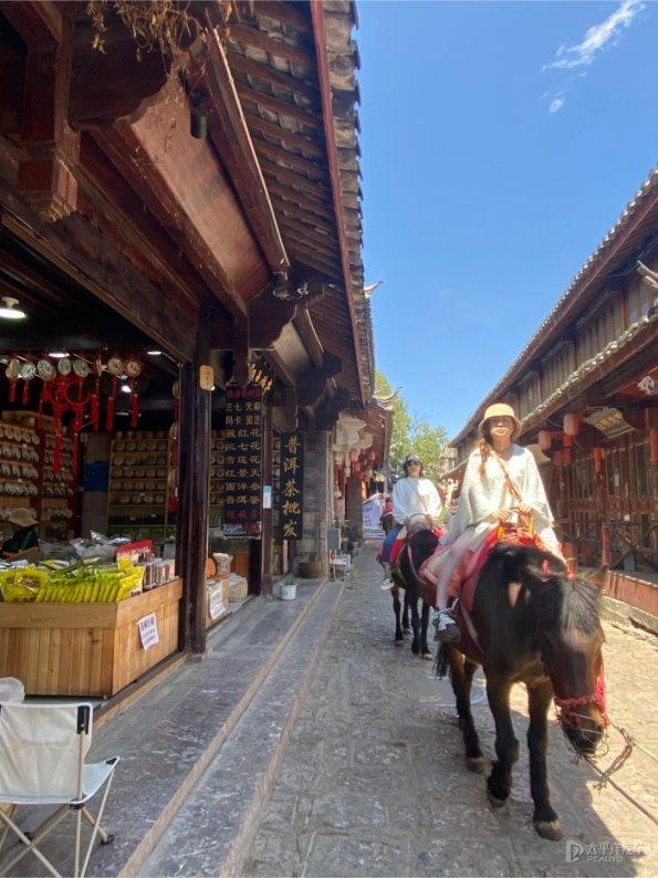 深入了解白萝卜和什么做馅好吃,探索知识星球平台的魅力