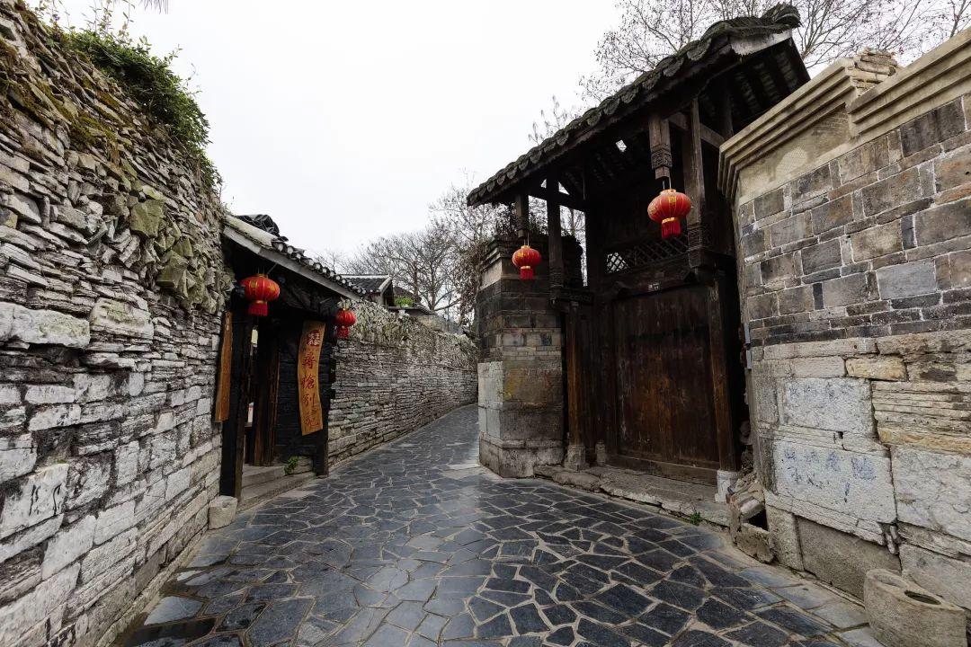 虫虫助手下载